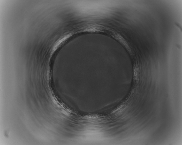 X0000099410724200805231603