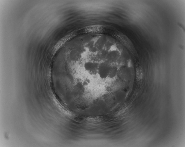 X0000099410725200805231603