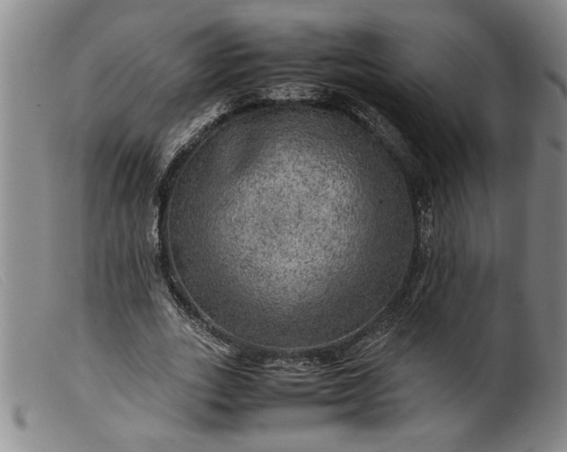 X0000099410727200805231603