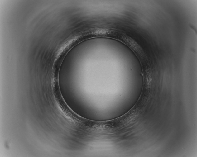 X0000099410728200805231603