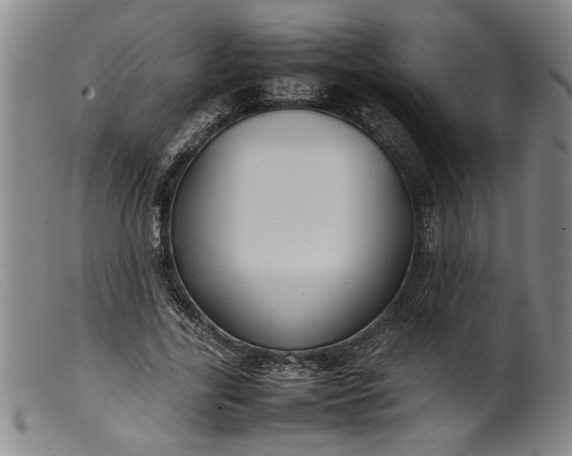 X0000099410731200805231603