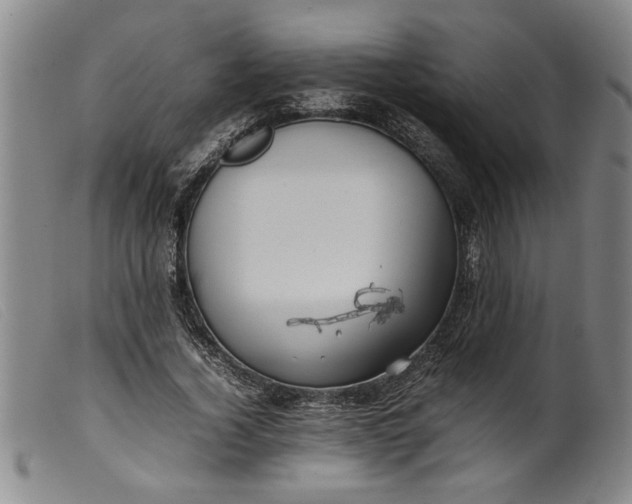 X0000099410732200805231603