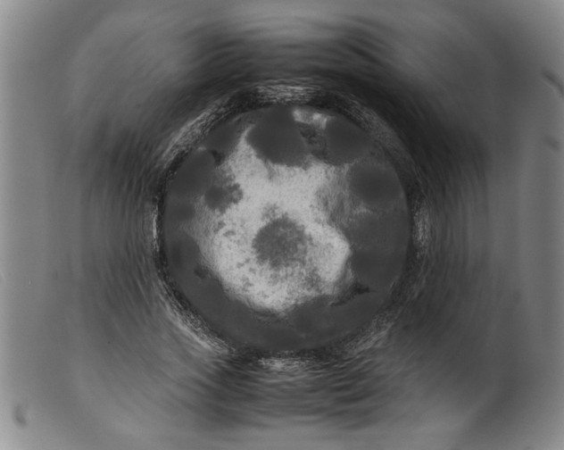 X0000099410733200805231604