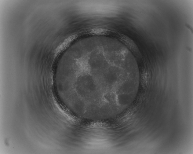 X0000099410734200805231604