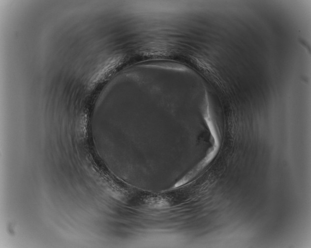 X0000099410735200805231604