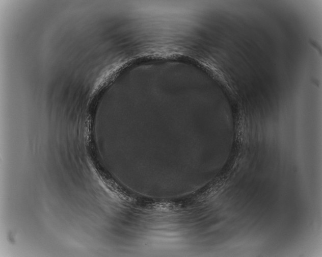 X0000099410736200805231604