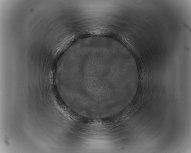 X0000099410738200805231604