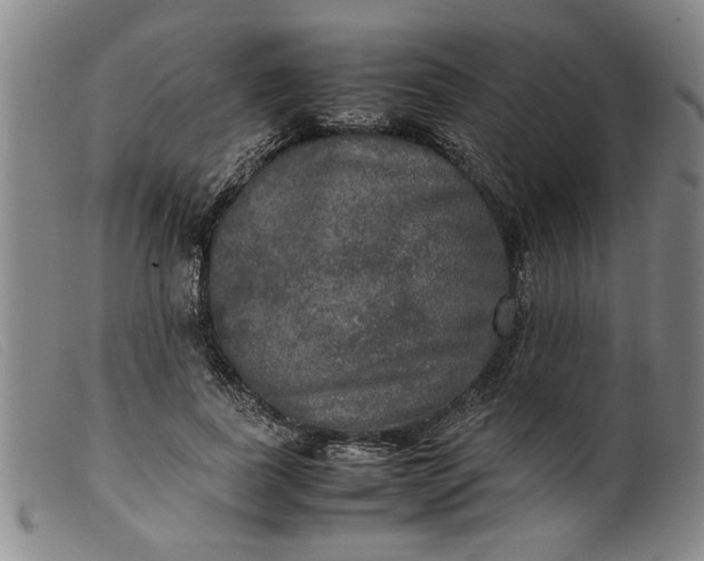 X0000099410739200805231604