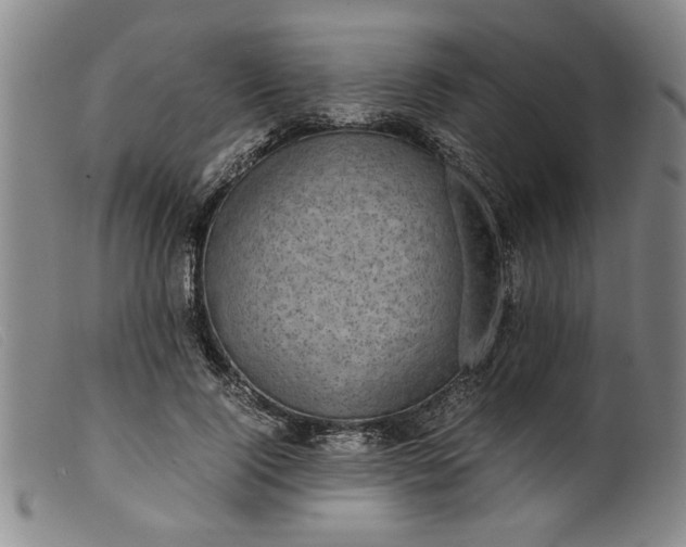 X0000099410740200805231604