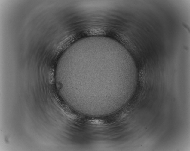 X0000099410741200805231604