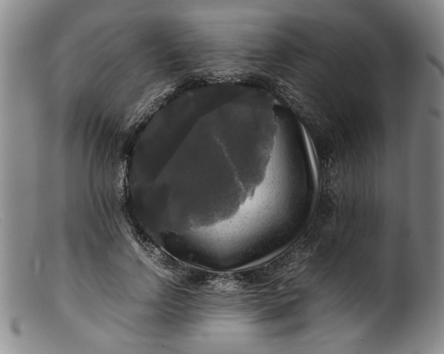 X0000099410742200805231604