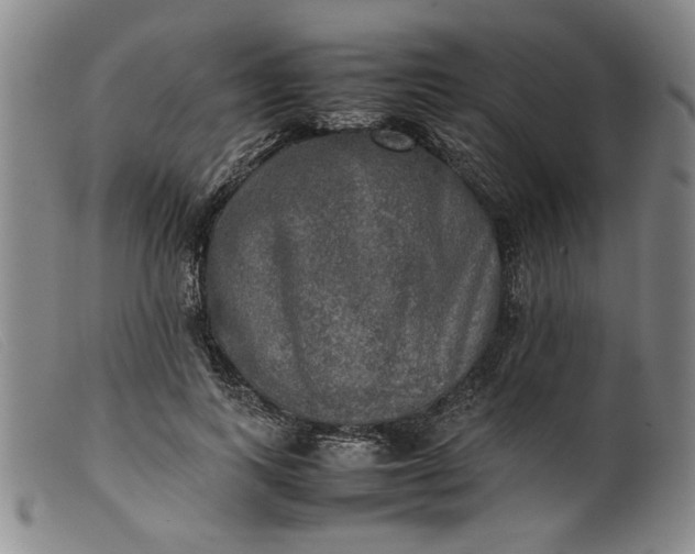 X0000099410743200805231604