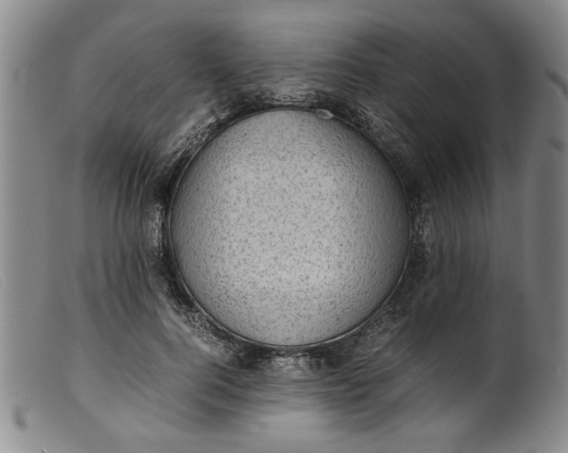 X0000099410744200805231604