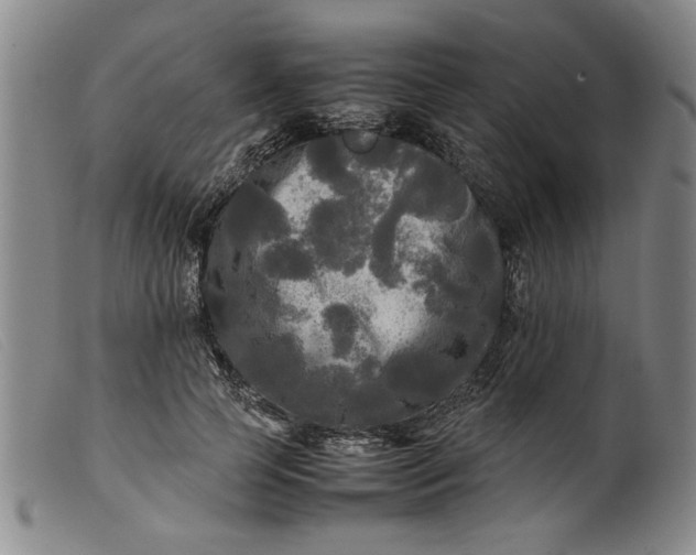 X0000099410745200805231604