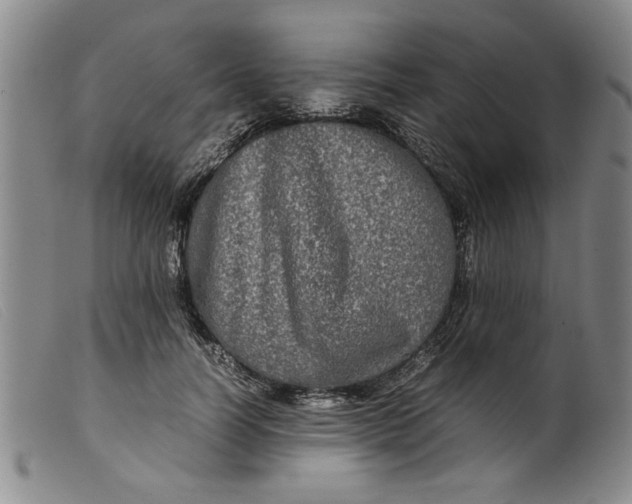 X0000099410746200805231604