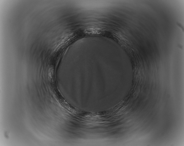 X0000099410747200805231604