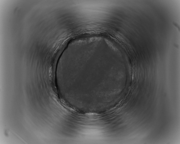 X0000099410748200805231604