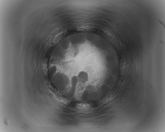 X0000099410749200805231604