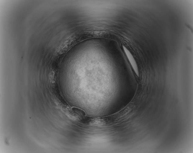 X0000099410750200805231604