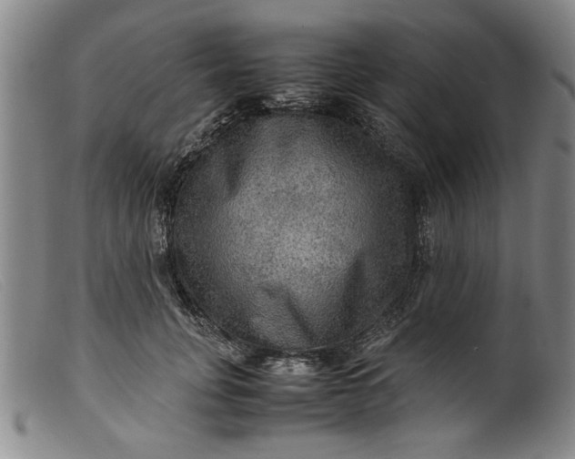 X0000099410751200805231604