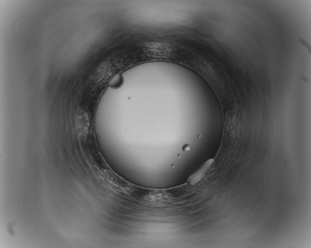 X0000099410752200805231604