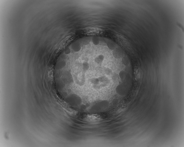 X0000099410753200805231604