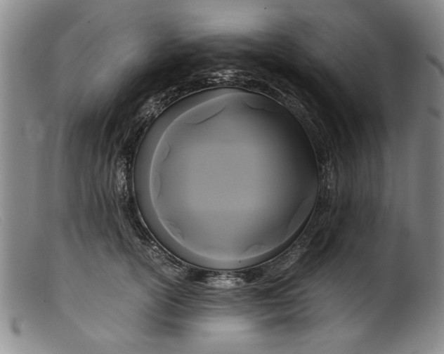 X0000099410754200805231604