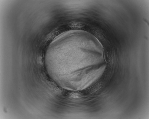 X0000099410755200805231604