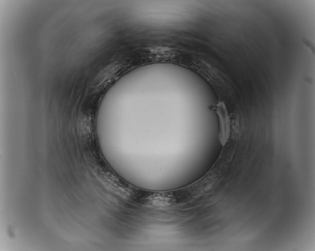 X0000099410756200805231604