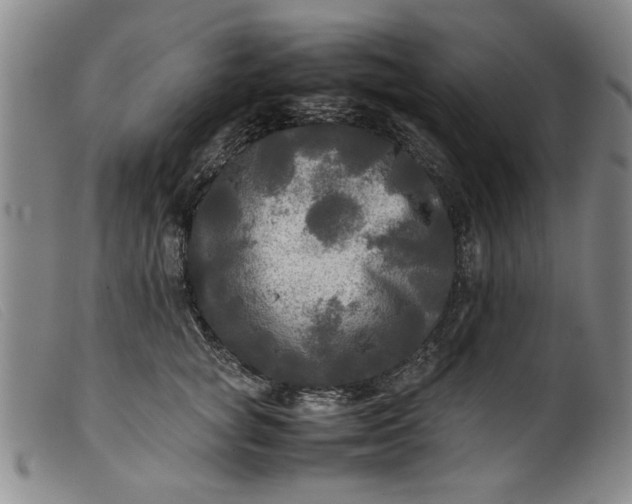 X0000099410757200805231604