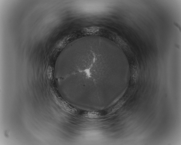 X0000099410758200805231604