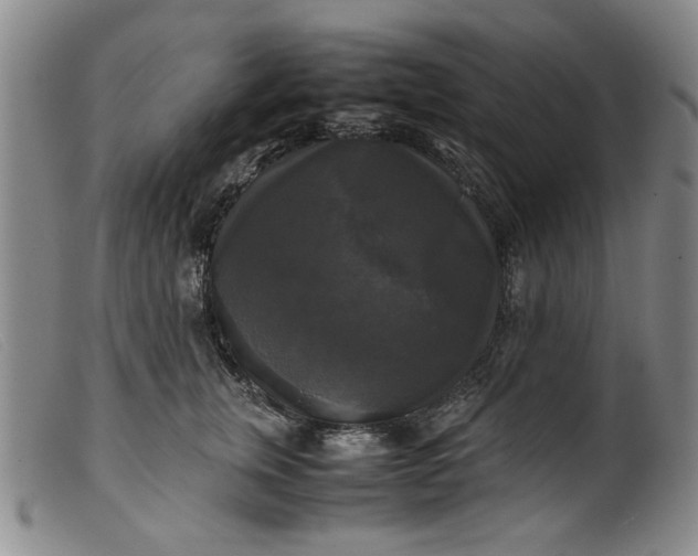 X0000099410759200805231604