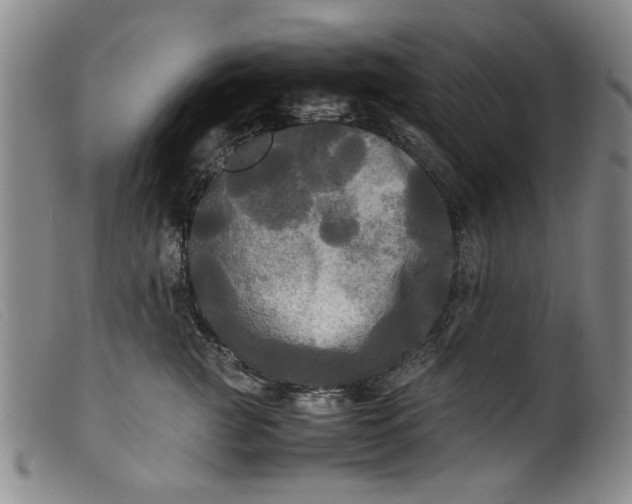 X0000099410761200805231604