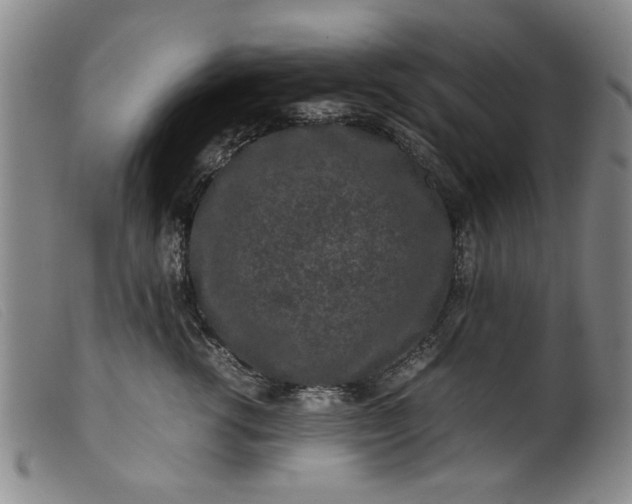 X0000099410762200805231604