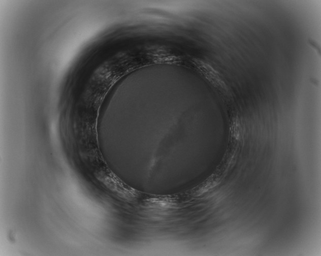 X0000099410763200805231604