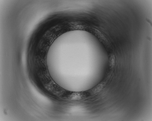 X0000099410764200805231604