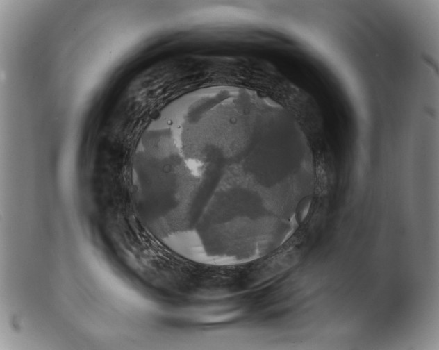 X0000099410765200805231604