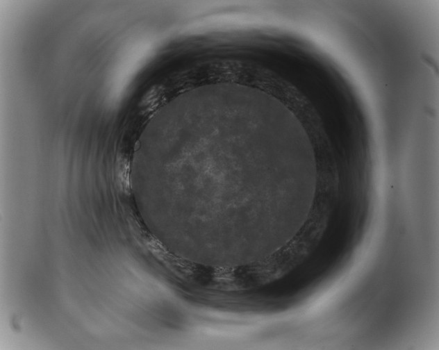 X0000099410766200805231604