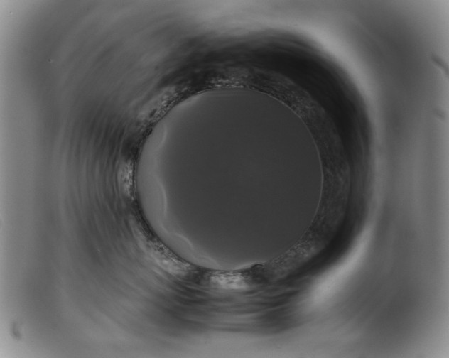 X0000099410767200805231604