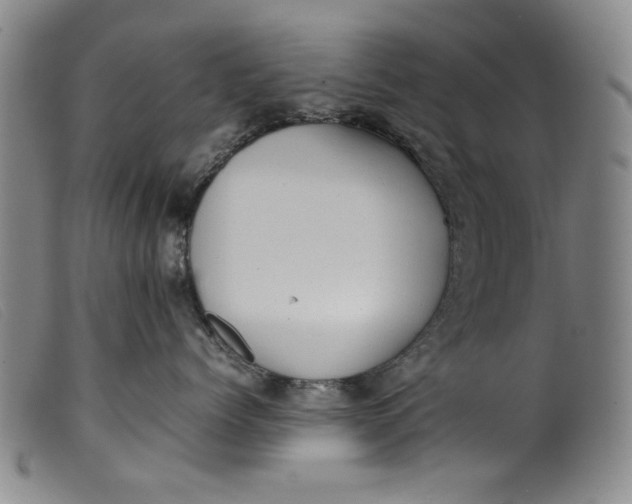 X0000099410768200805231604