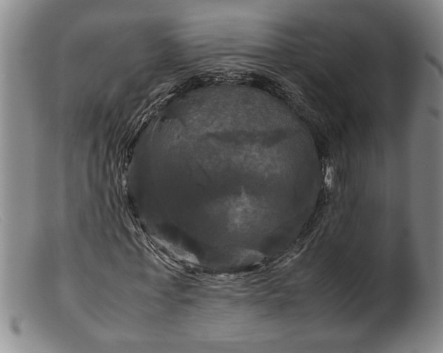 X0000099410771200805231603