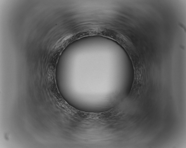 X0000099410773200805231603