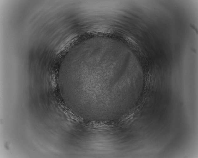 X0000099410774200805231603