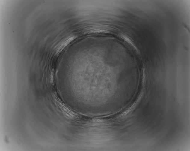 X0000099410777200805231603