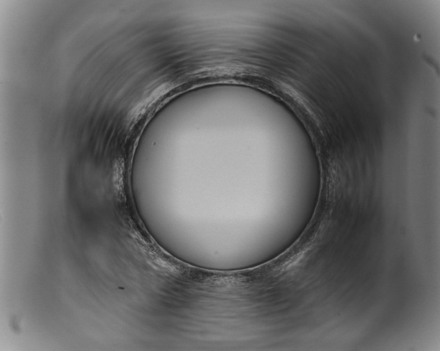 X0000099410778200805231603