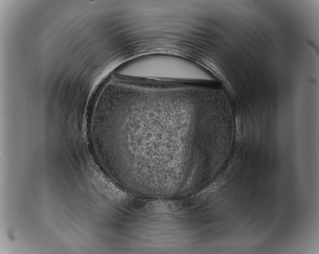 X0000099410780200805231603