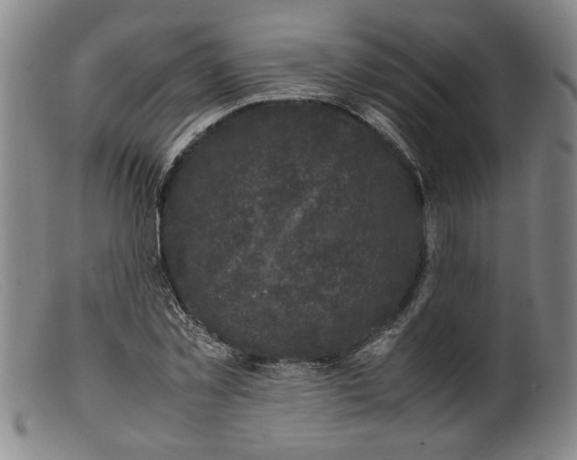 X0000099410781200805231603