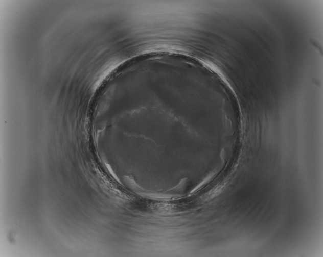 X0000099410783200805231603