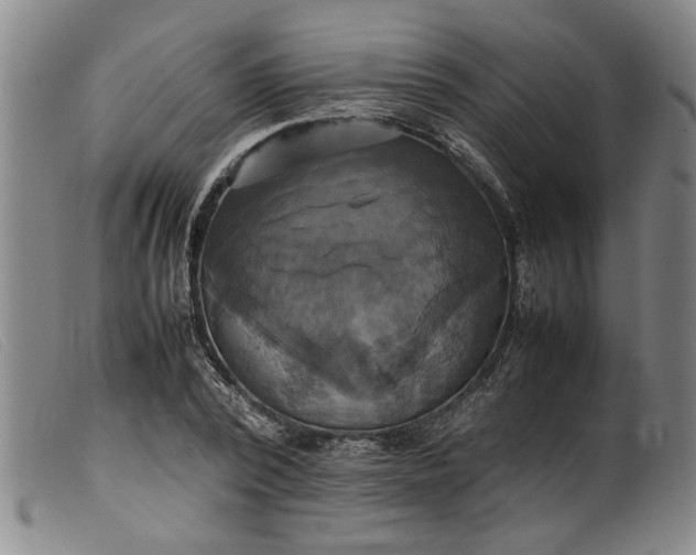 X0000099410784200805231603