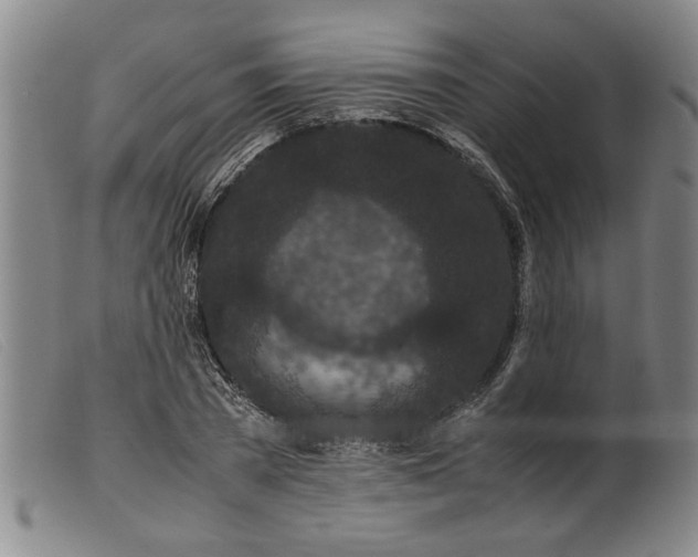 X0000099410785200805231603